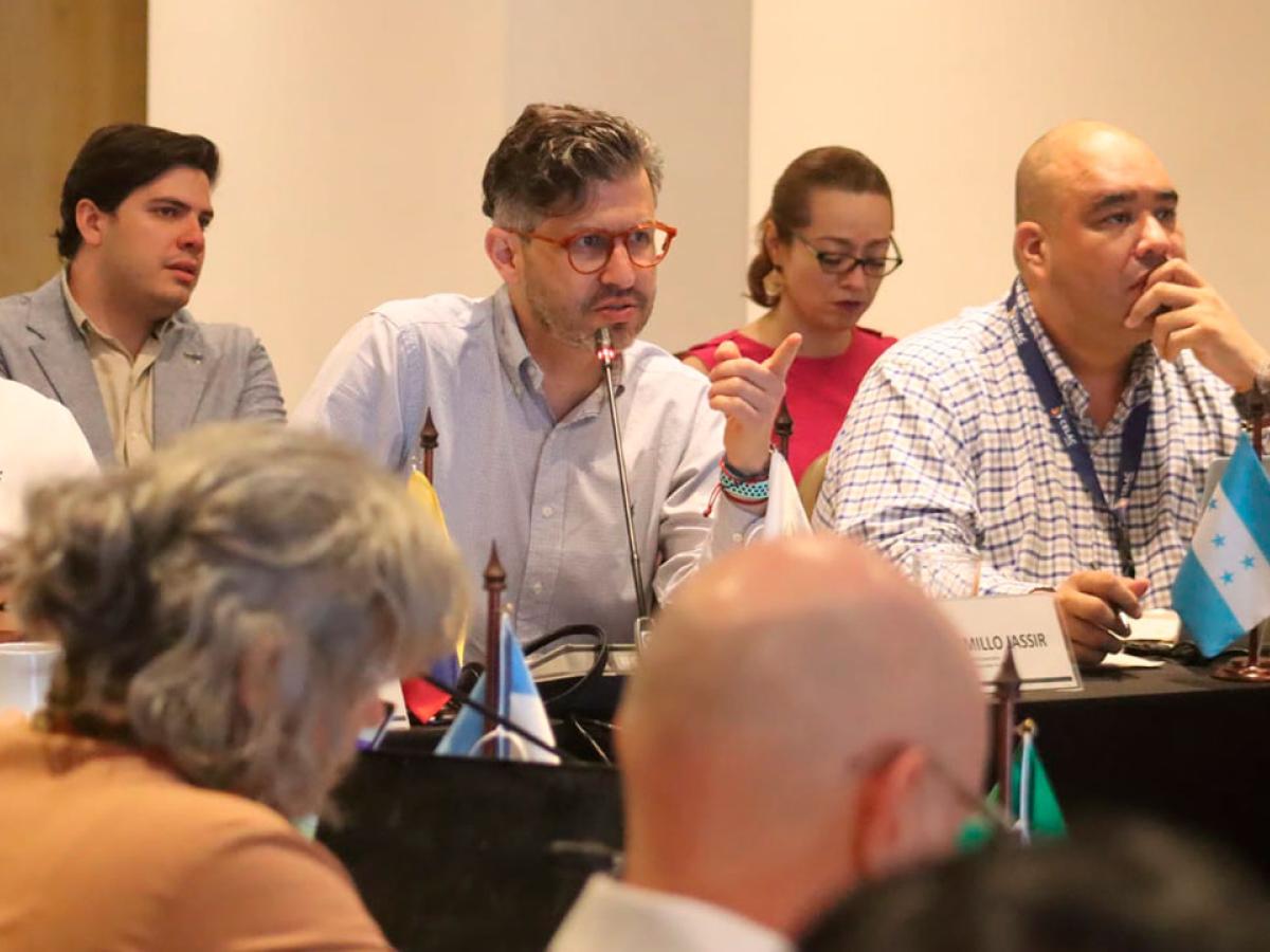  Preparativos IV Cumbre CELAC–UE Santa Marta