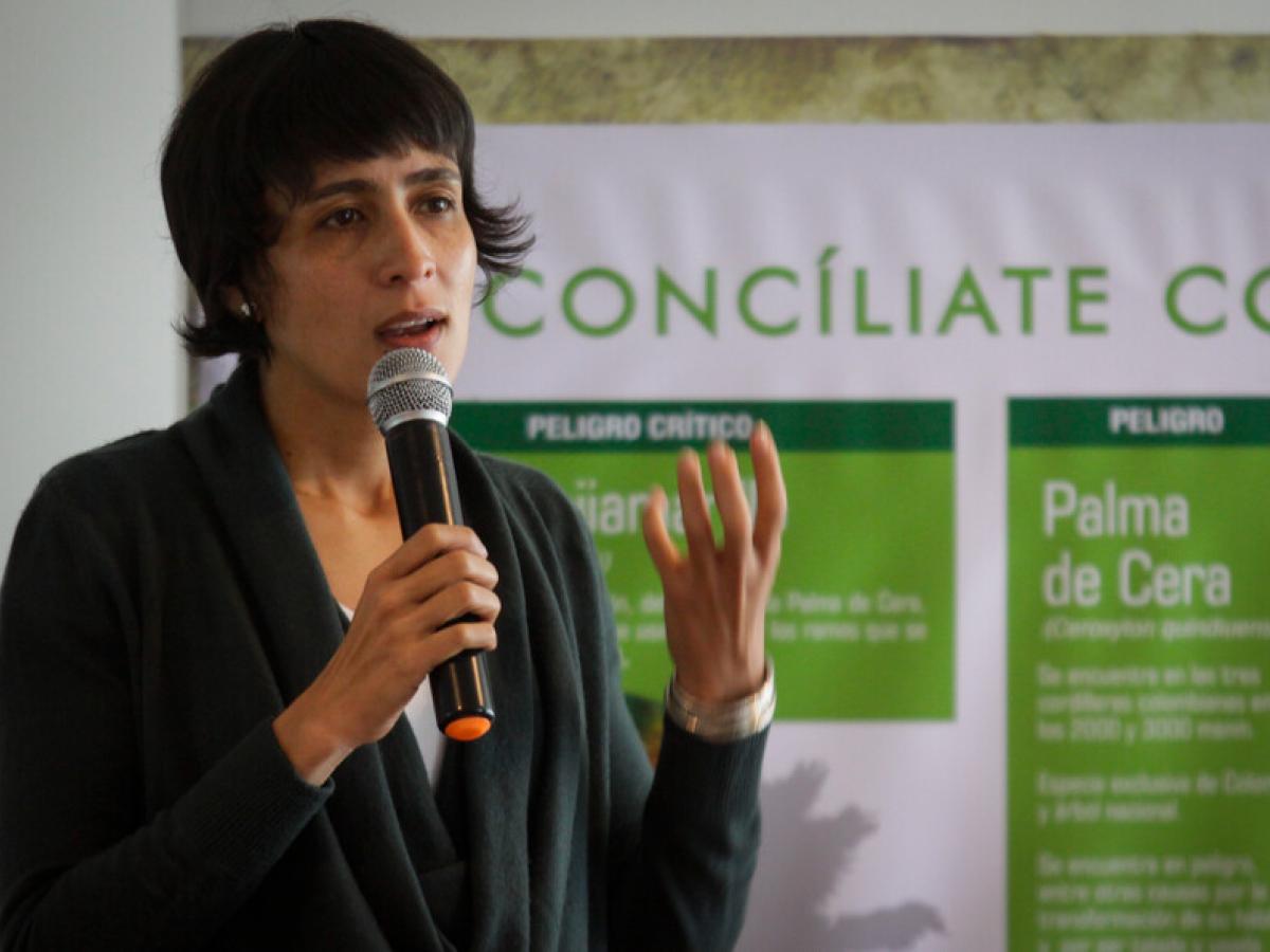 Proyecto del Canal del Dique: licencia ambiental