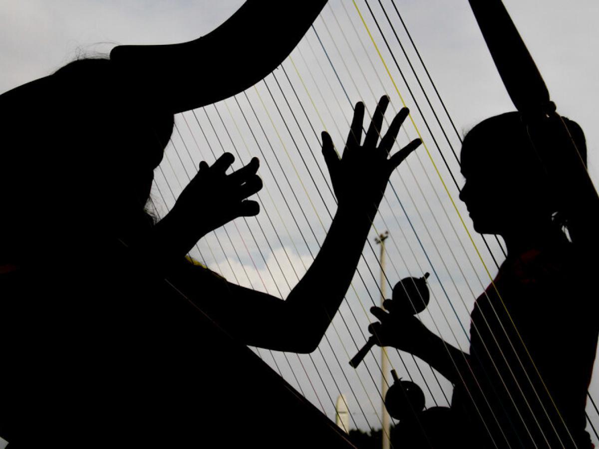 Joropo, formas musicales: tonadas, pasajes y golpes