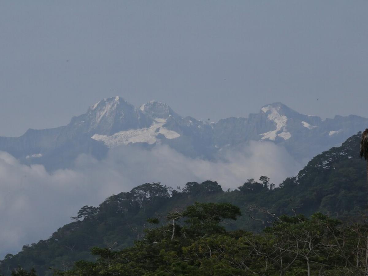 Desplazados en Sierra Nevada de Santa Marta por combates