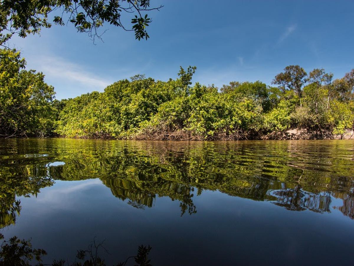 Expedición en la región Pacífica y de la Orinoquía: convocatoria 2023