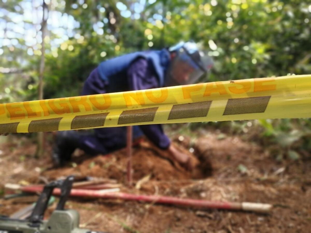 Campo minado en el Catatumbo 