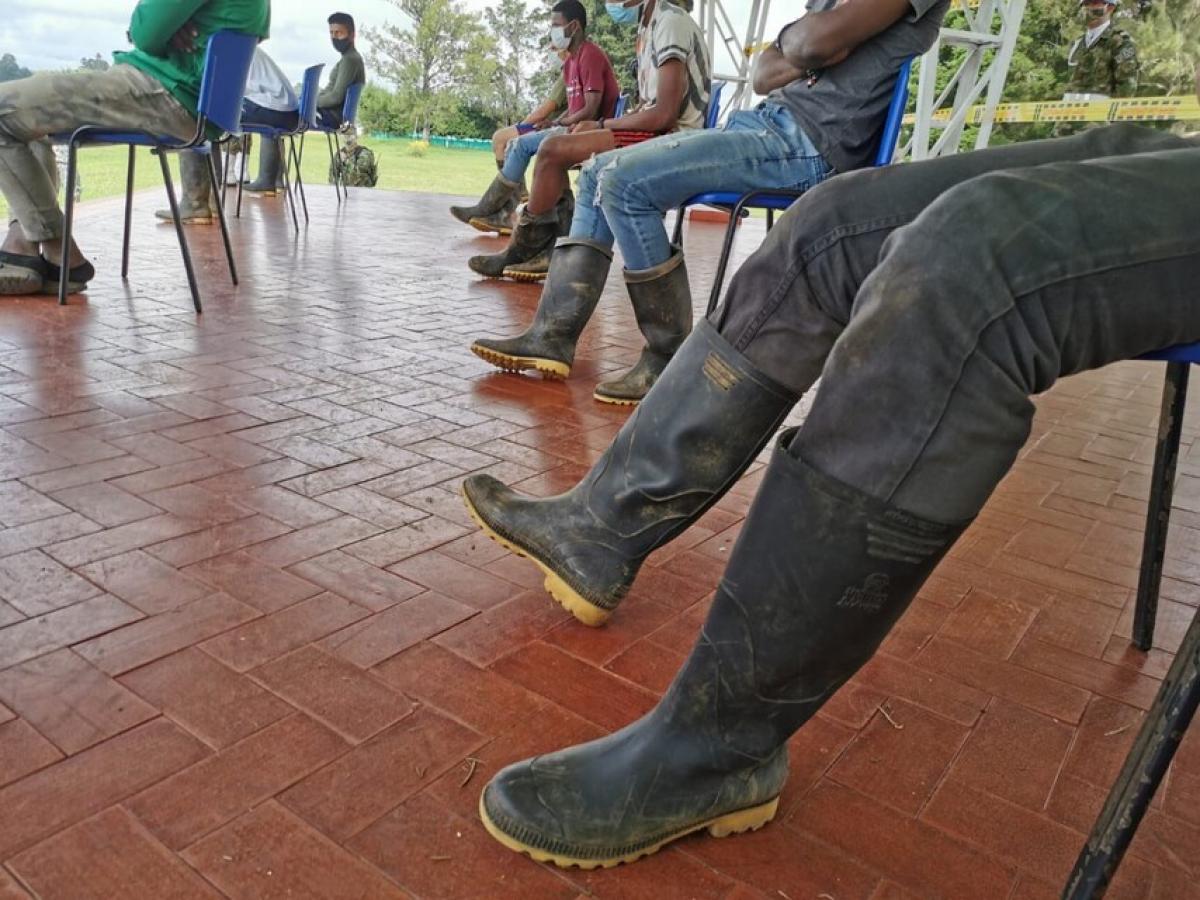 Diálogos de paz con el Eln 