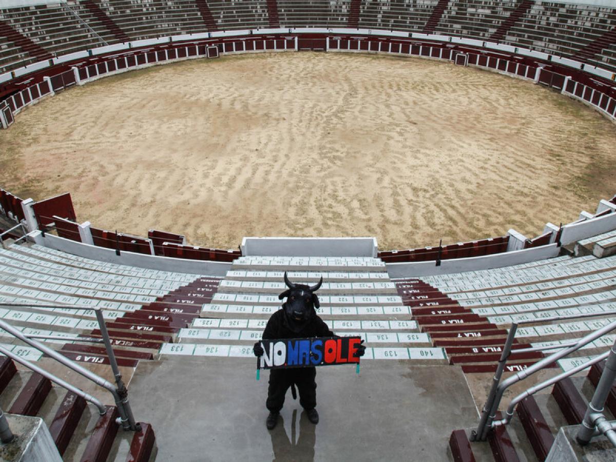 Suspenden la feria taurina que se desarrollaba en la Feria de Cali