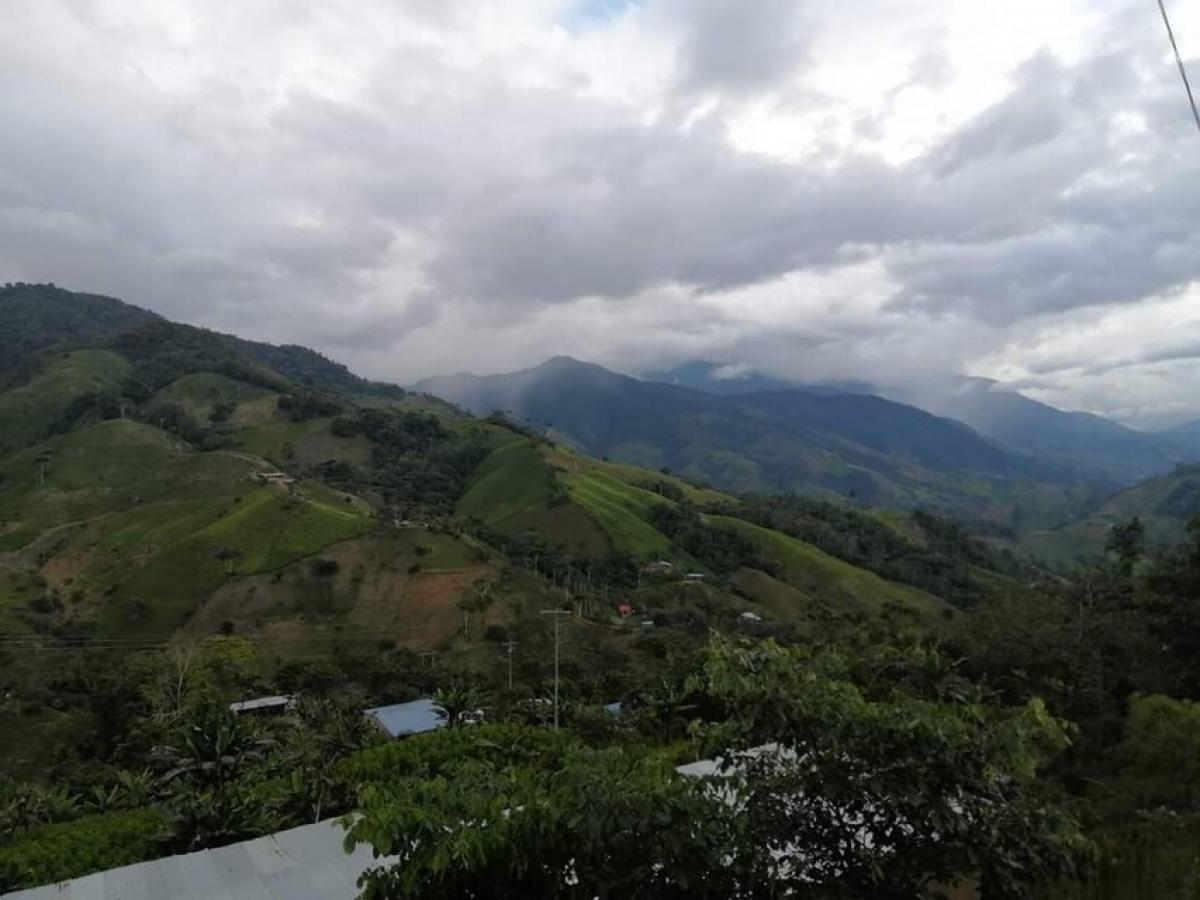 Argelia, Cauca