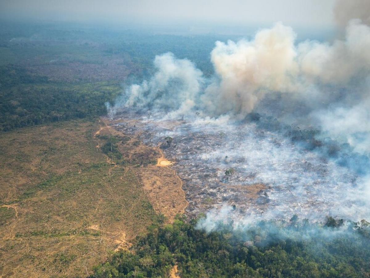 Parque Natural Chiribiquete 