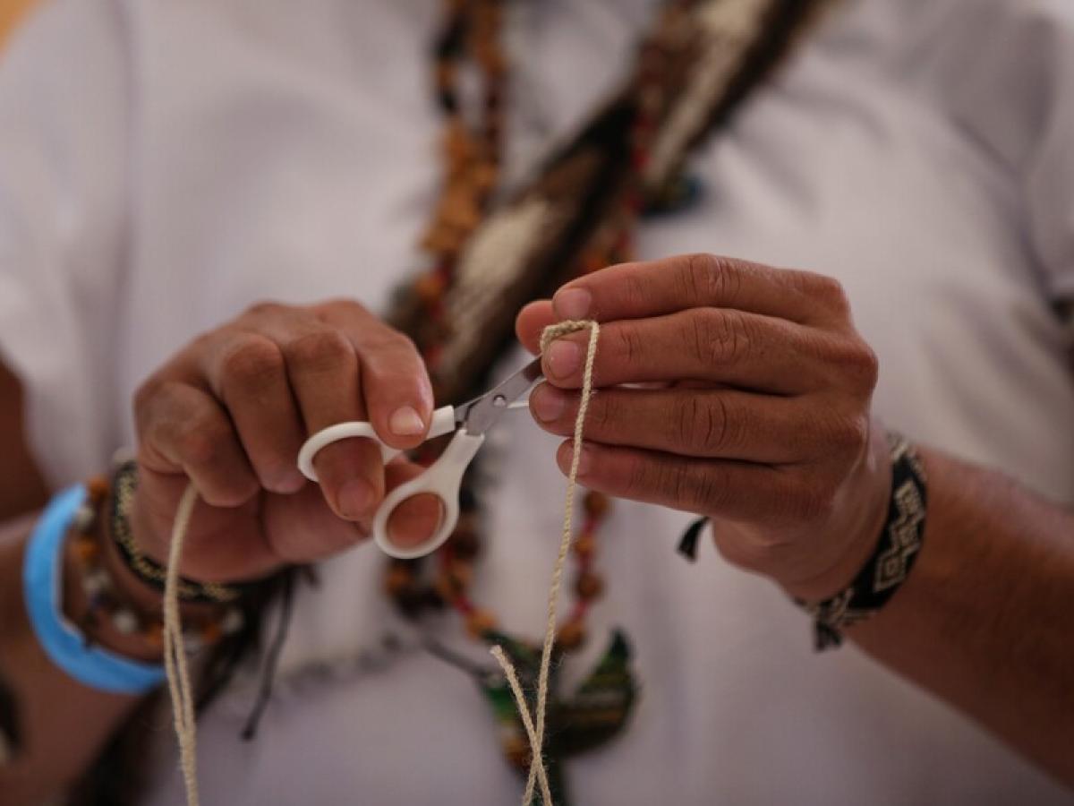 Defensores de DD.HH. 