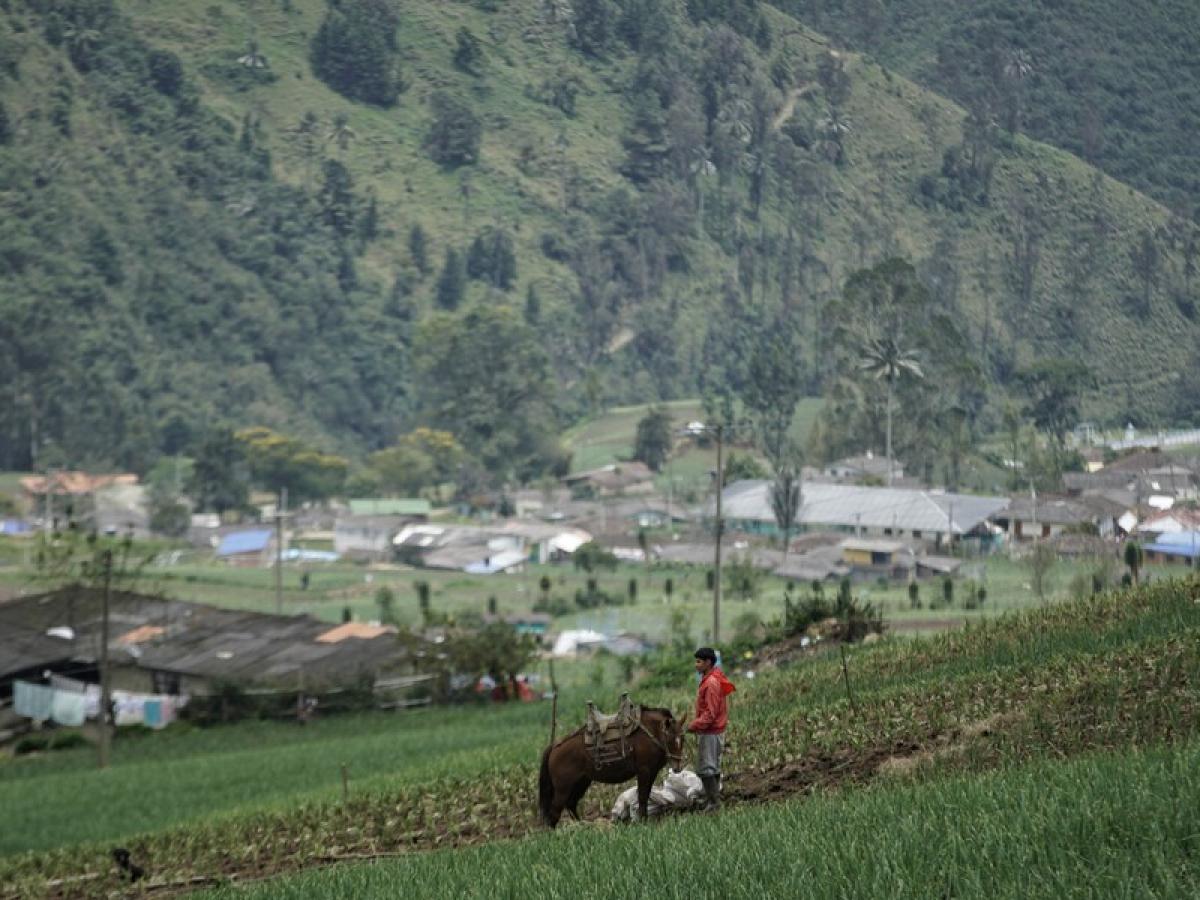 Unas tres mil personas que viven en el Páramo de las Hermosas, una zona que en el pasado fue afectada por el conflicto armado, ahora le apuestan con éxito al turismo de naturaleza y al desarrollo de proyectos productivos sostenibles.