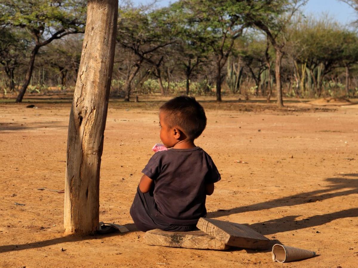 Crisis alimentaria mundial: Covid y guerra en Ucrania