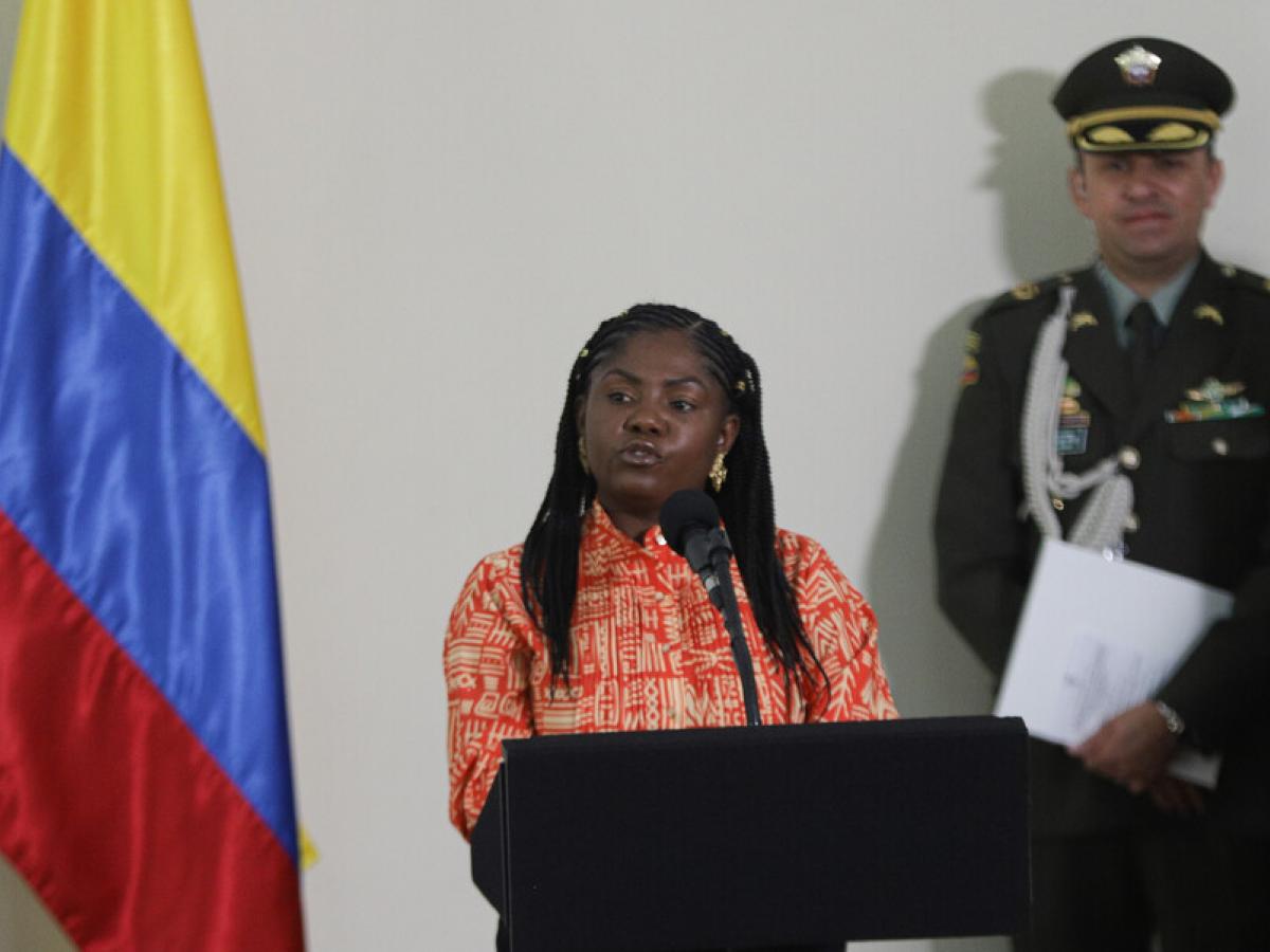 Vicepresidenta pide a grupos armados detener ataques