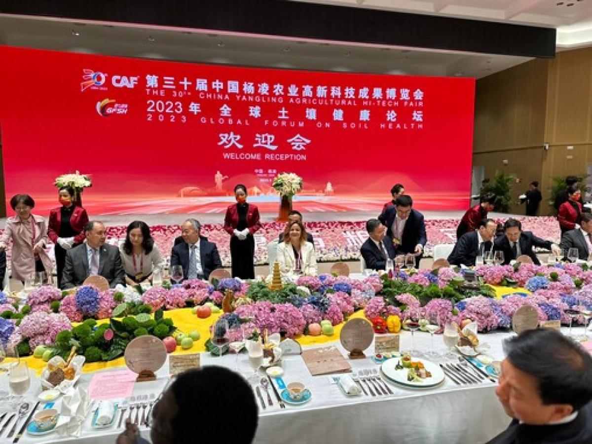 China y Colombia fortalecerán los intercambios artísticos