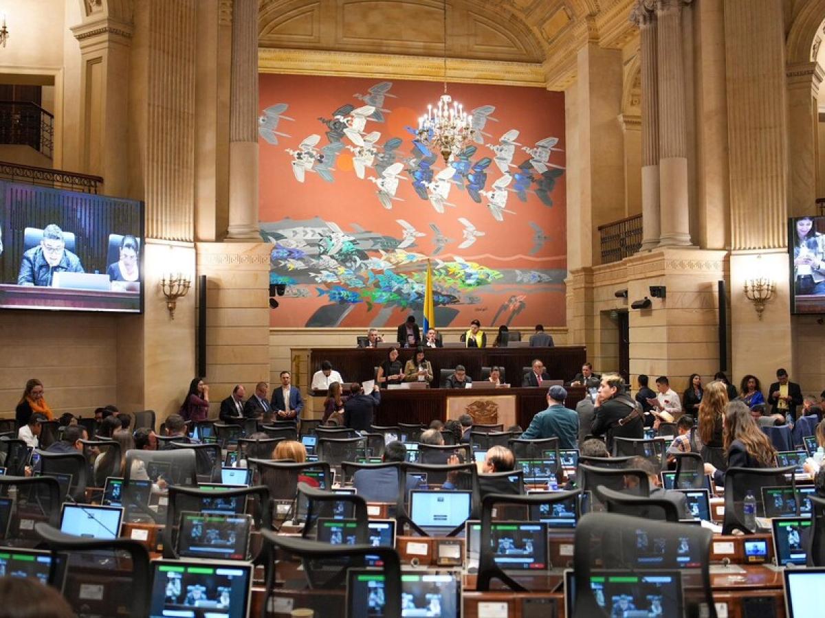 Marcas de Gobierno: por qué las prohibió el Congreso