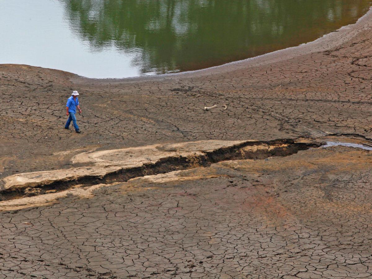Investigación advierte aumento de las sequías en el mundo 