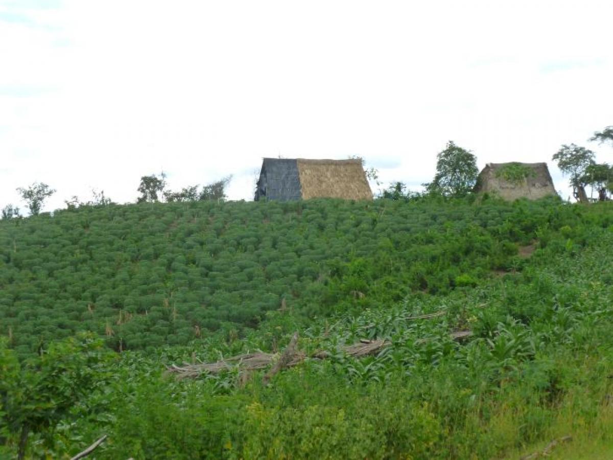 Aumento de la violencia del Clan del golfo en los Montes de María