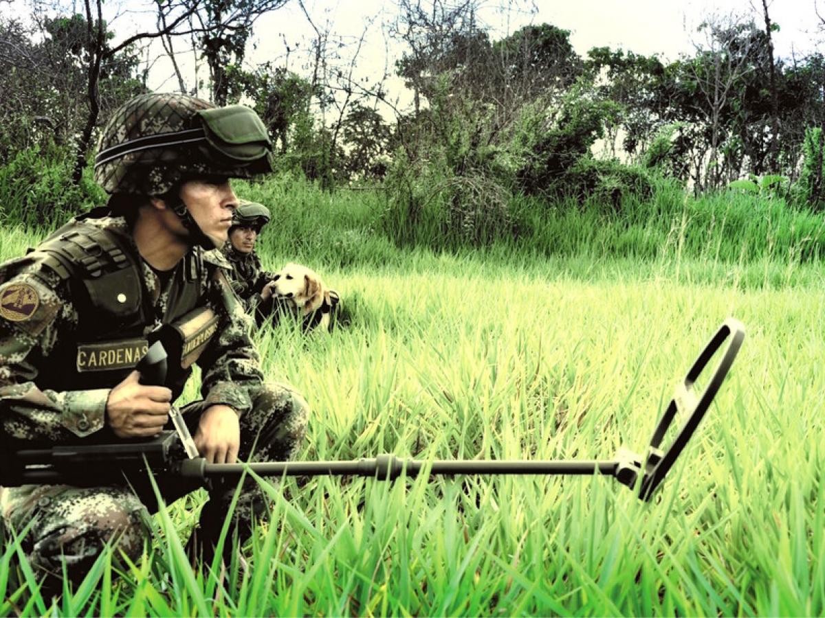 Campos minados en el Catatumbo
