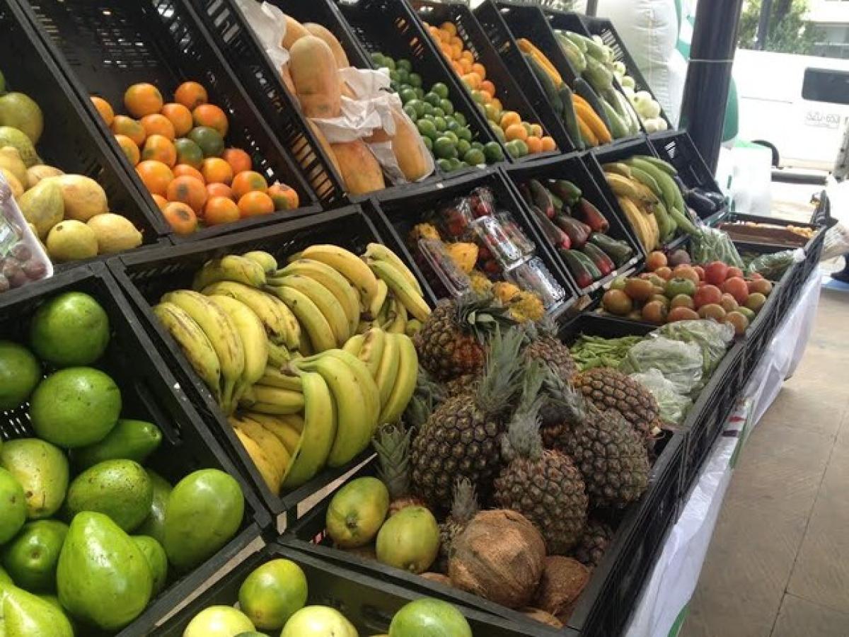 Revelan las frutas más exportadas en Colombia 2023