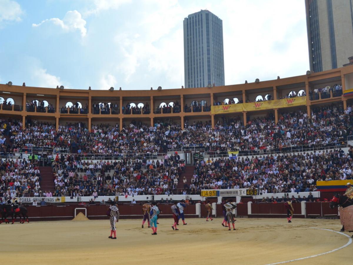 Corridas de toros: Petro pide al Congreso una ley para prohibirlas
