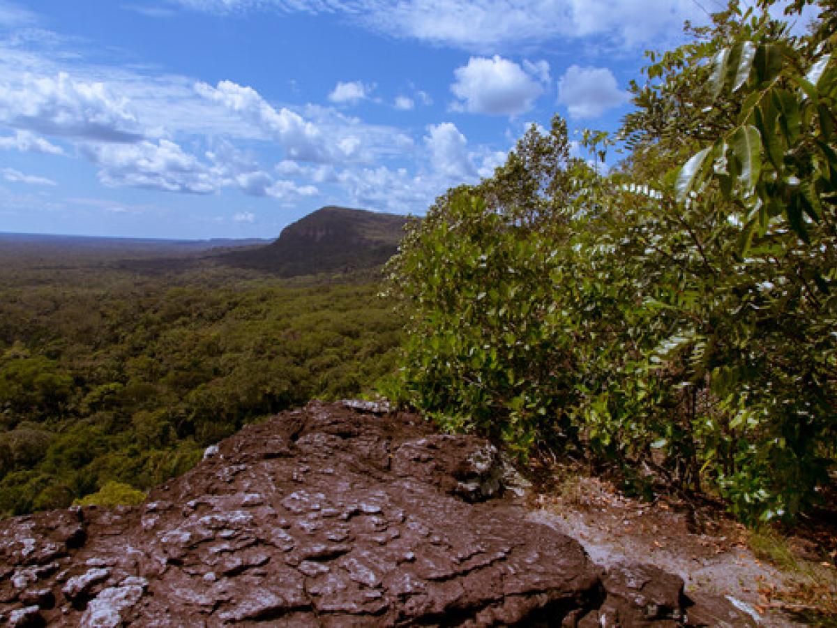 Turista extranjero murió en zona rural del Guaviare