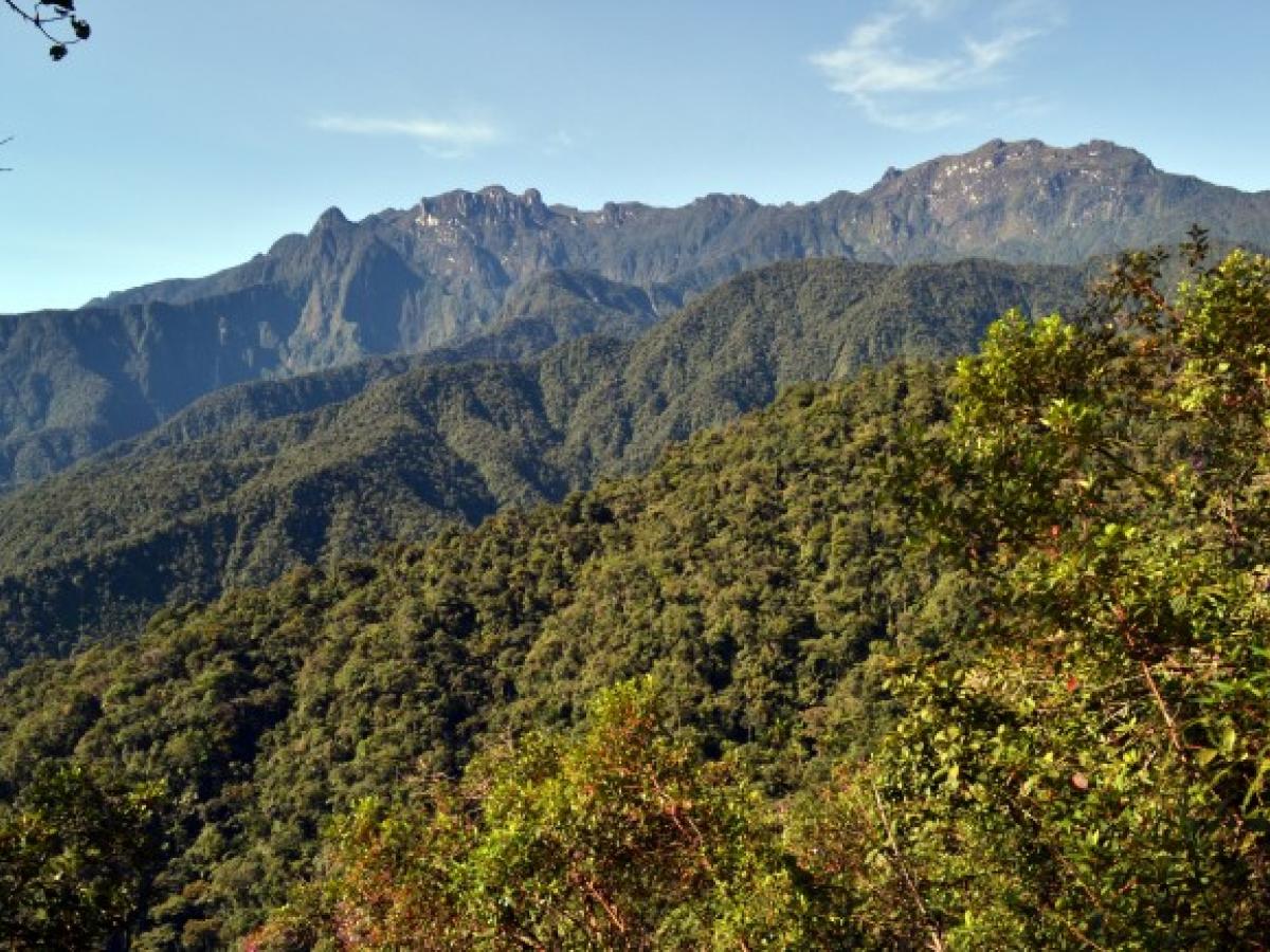 Recuperación incendio el Parque Nacional Natural Los Nevados 2023