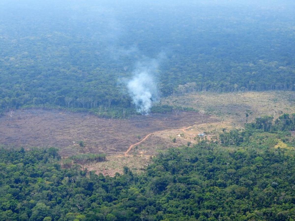 Incendios forestales en Colombia