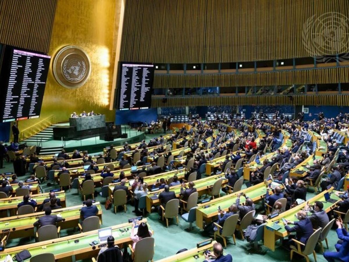 Asamblea General de la ONU