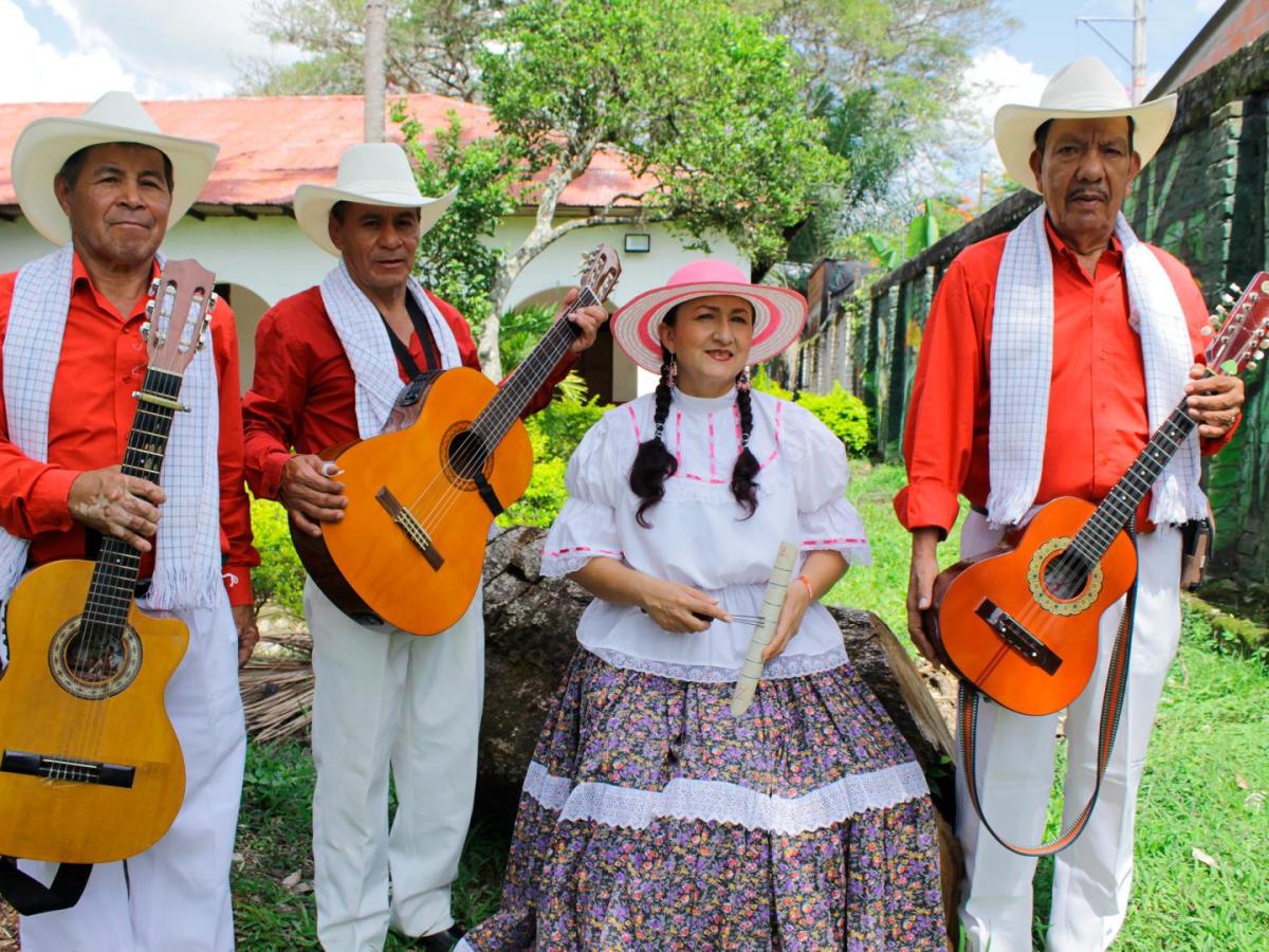 Tributo música campesina.