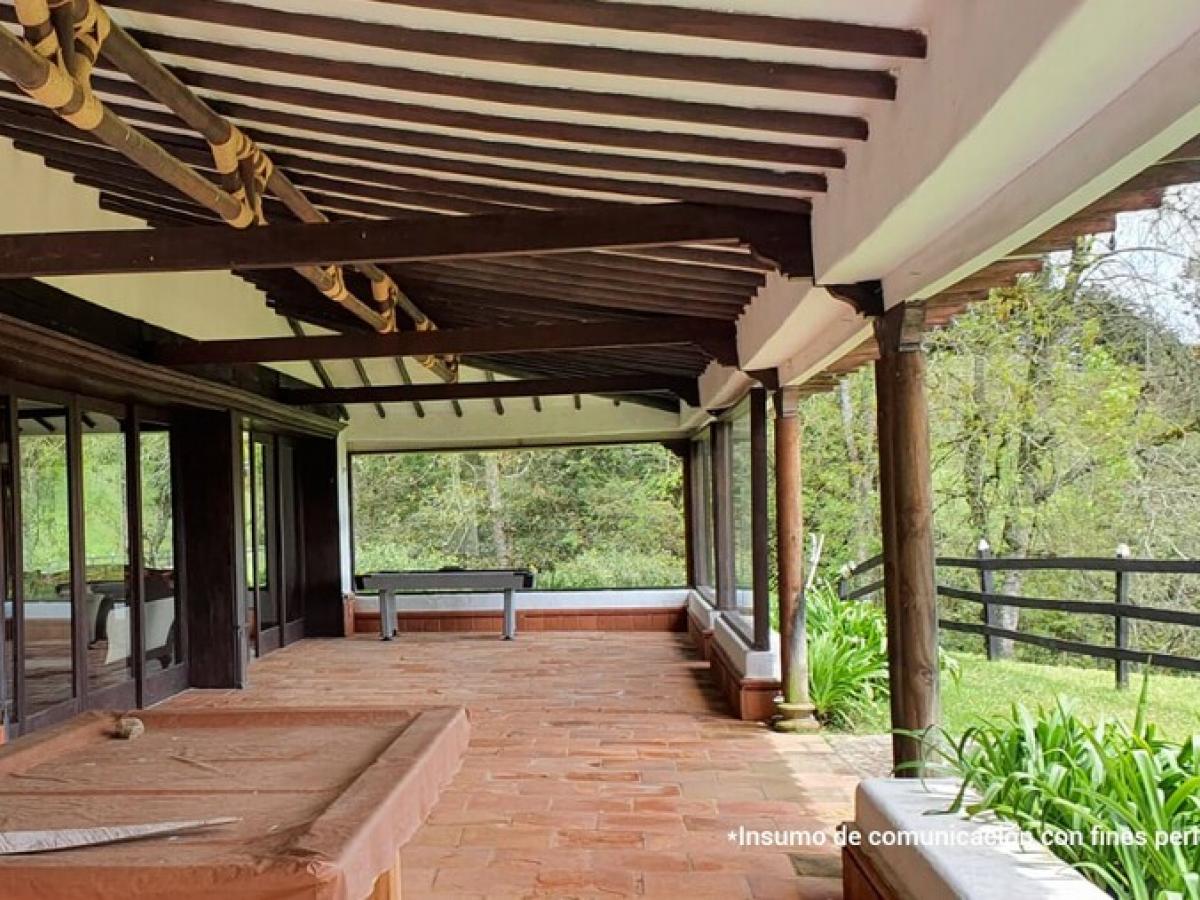 Contraloría: 1.638 predios en extinción de dominio no están bajo control de Sae 