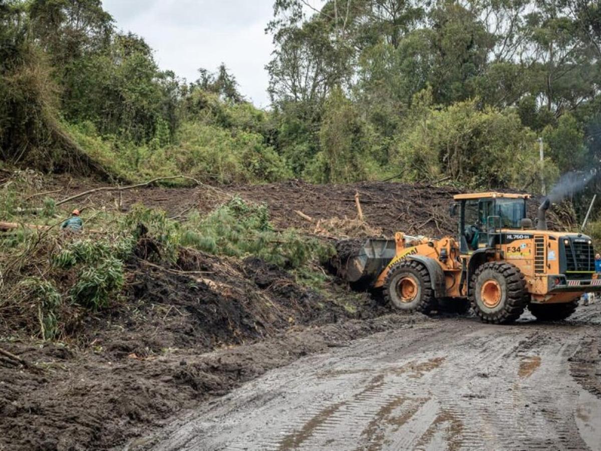 Damnificados por ola invernal: departamentos y municipios | Ungrd