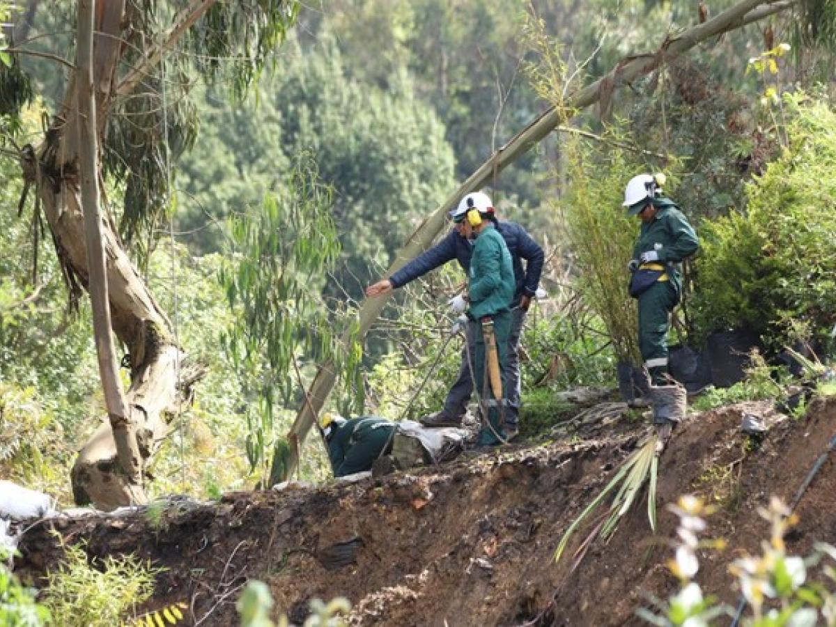 Ola invernal en Colombia | Procuraduría manifiesta preocupación por atención