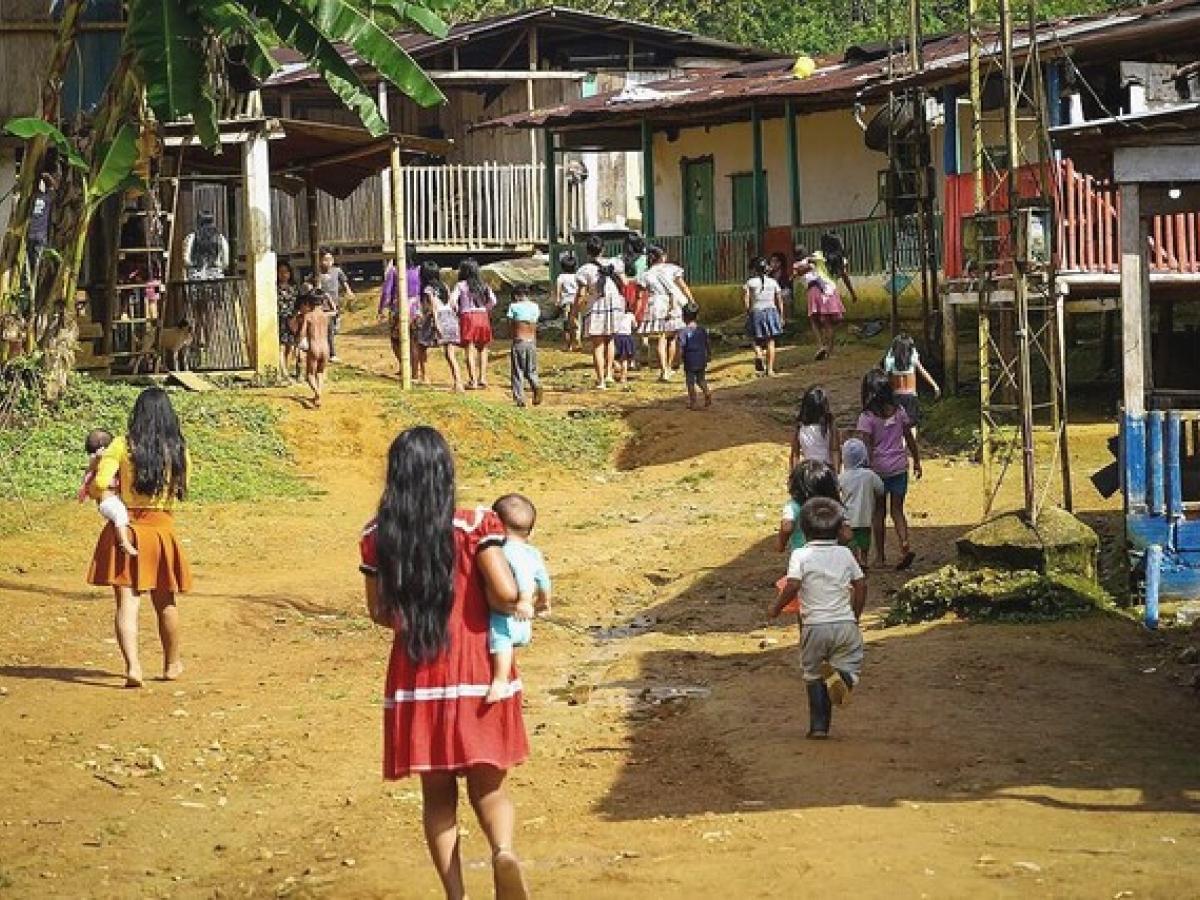 Paludismo en Risaralda: Ministerio de Salud y la Cruz Roja toman medidas para combatir el brote