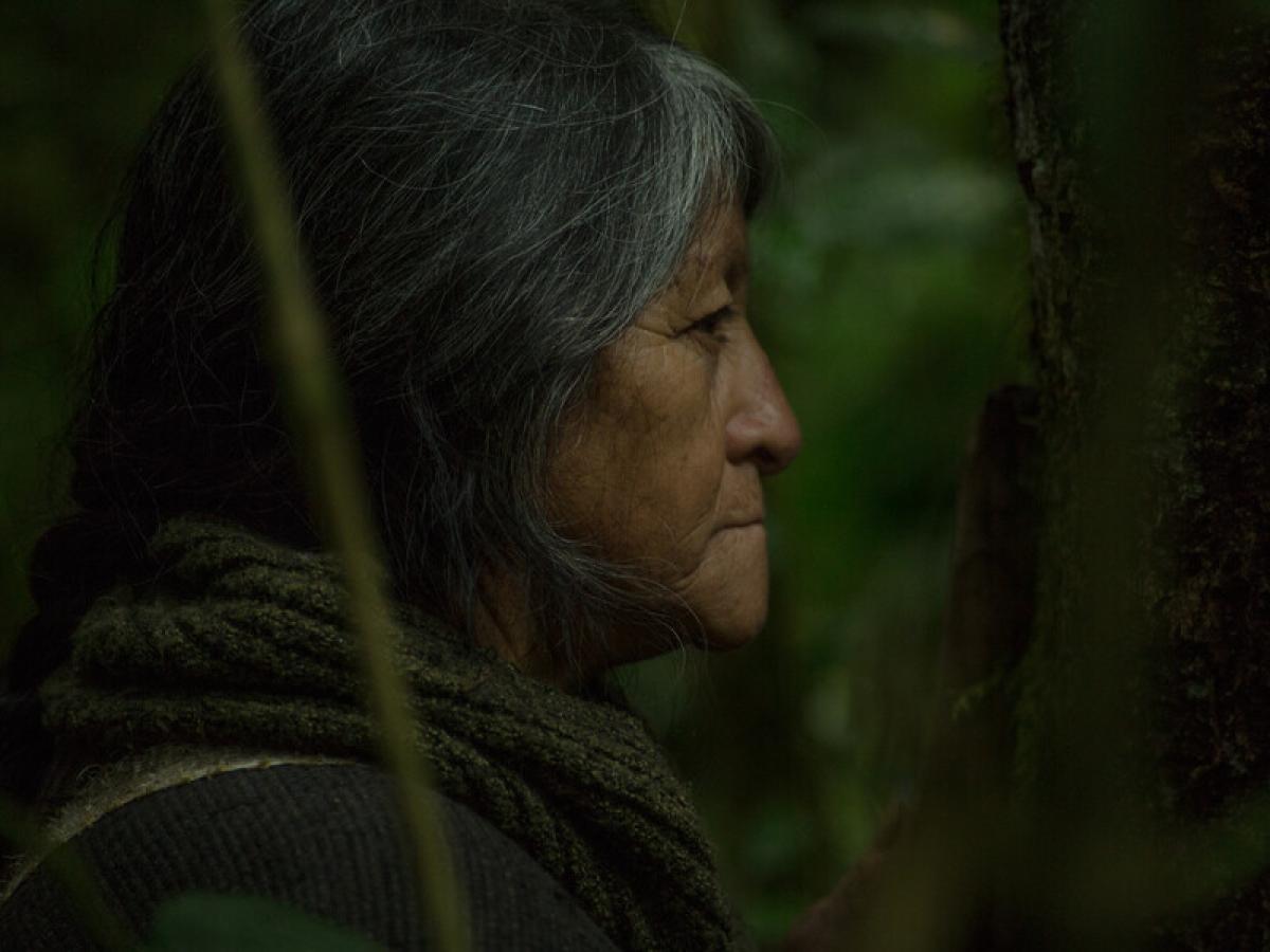 Camila Rodríguez Triana, directora de ‘El canto del Auricanturi’