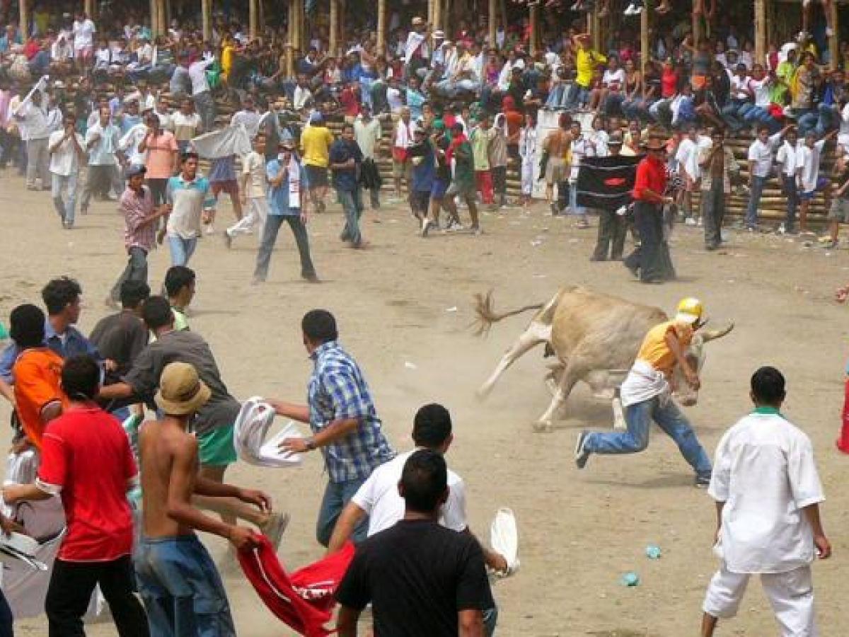  El Espinal, Tolima: cargos al alcalde por emergencia en corralejas