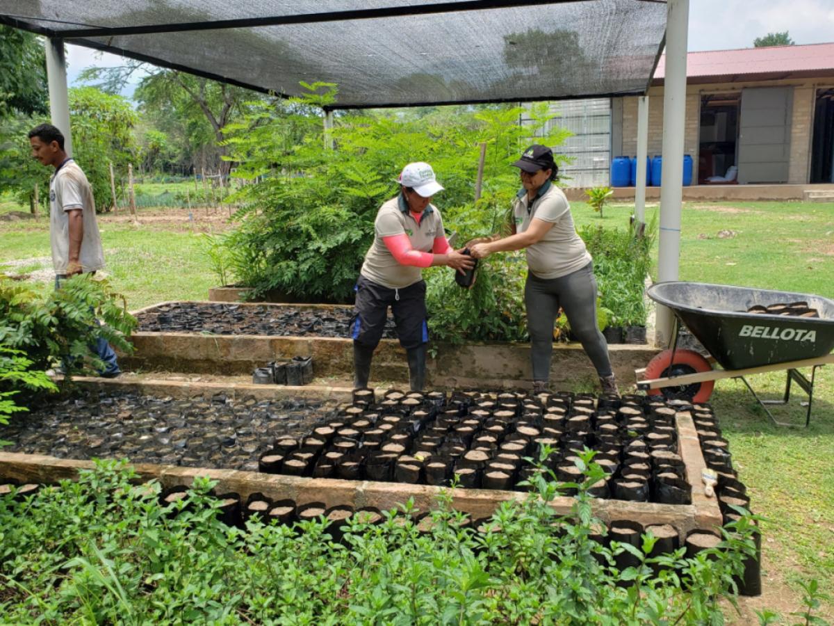 Cooperativas en Colombia: cuál es su función e importancia