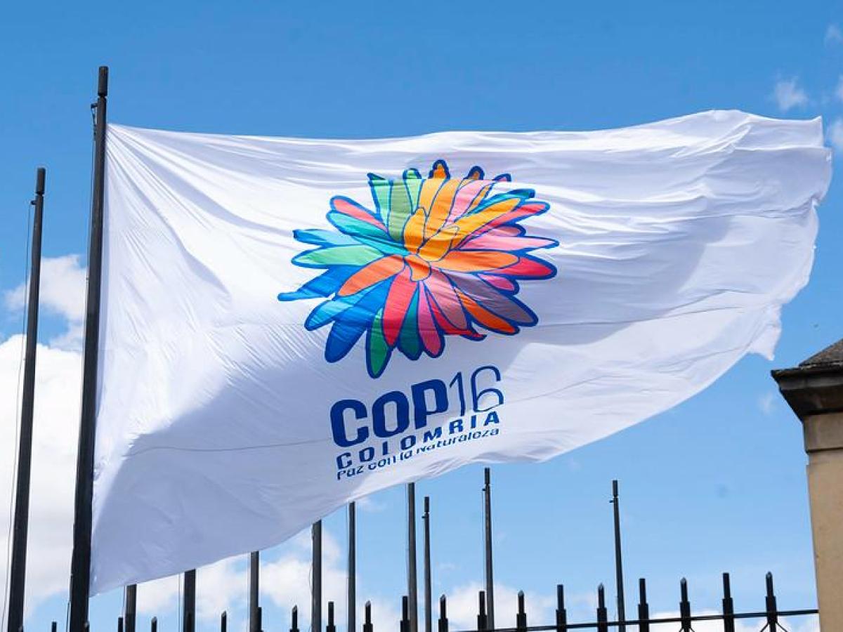 Agenda político académica de la Zona Verde en la COP16- lugares- temas