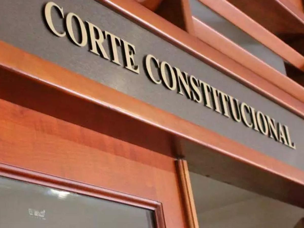 Llamado Corte Constitucional sobre violencia sexual 