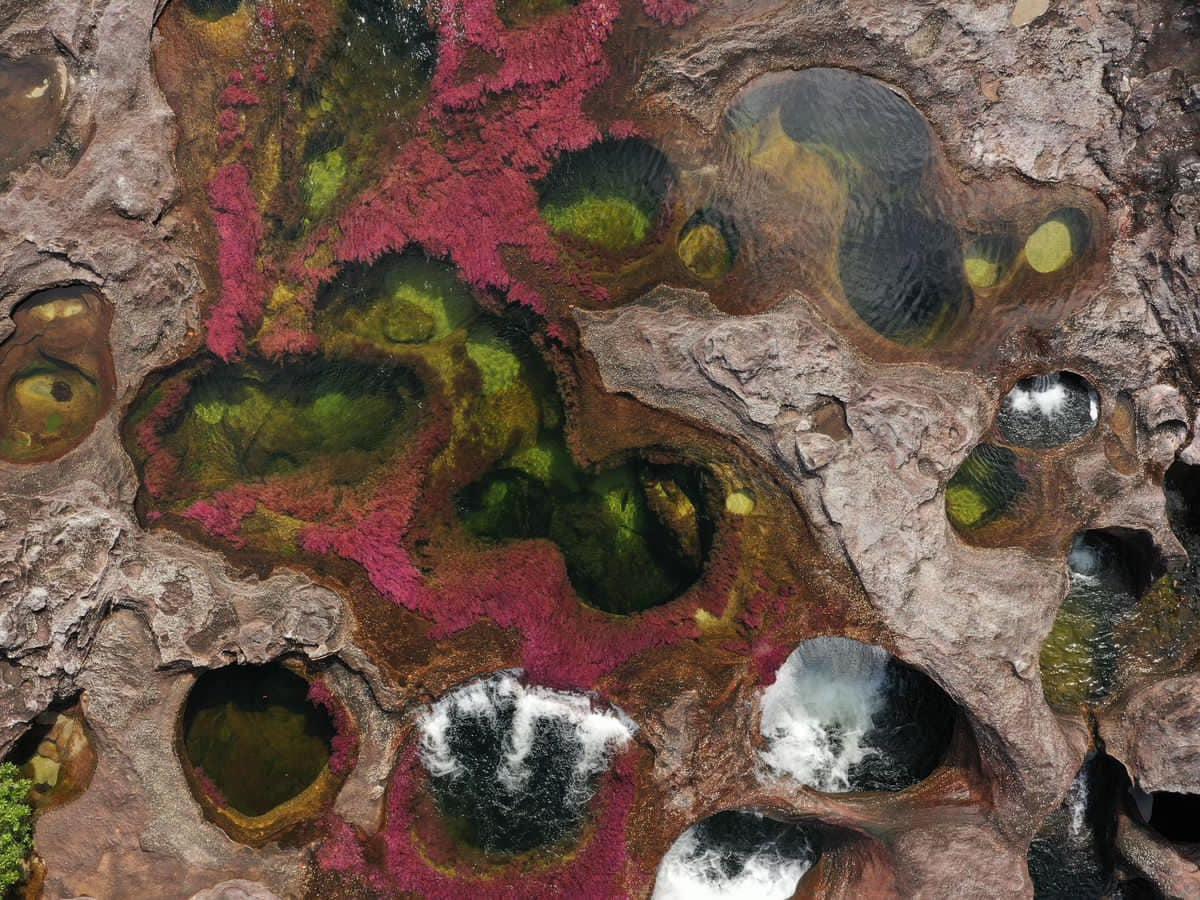 Caño Cristales reabre sus puertas al turismo