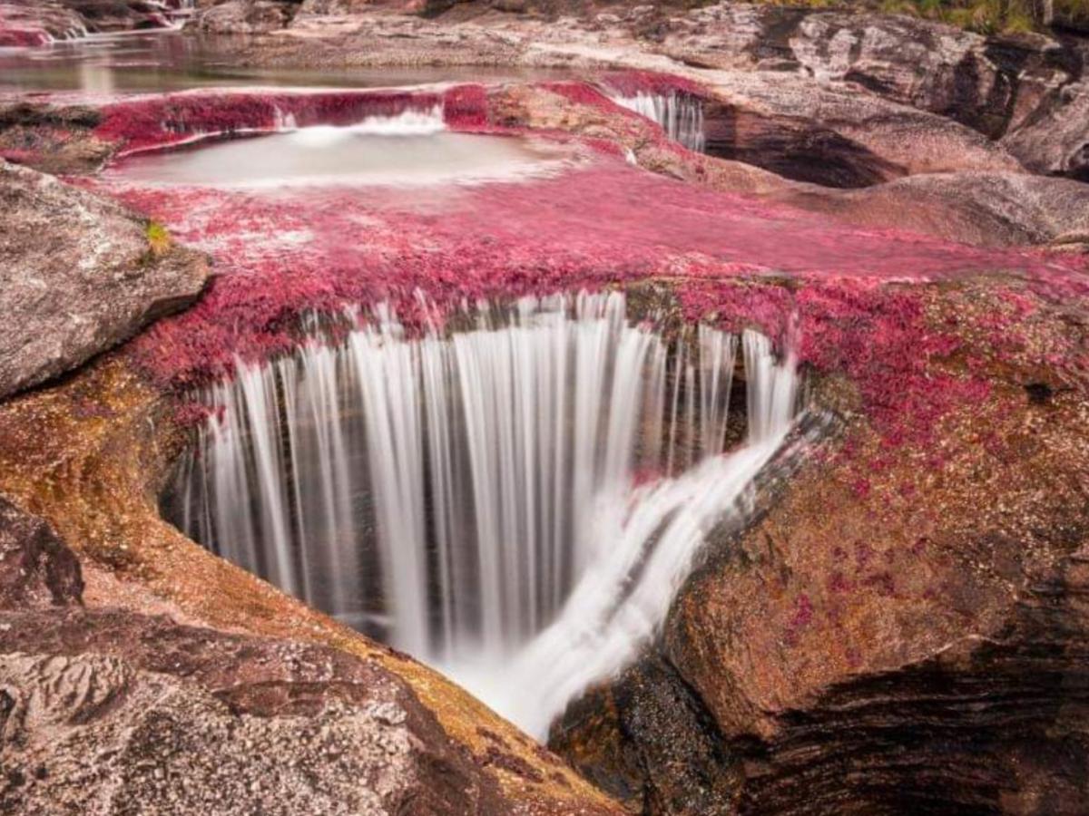Inicia temporada turística 2025 en Caño Cristales, el río más hermoso del mundo