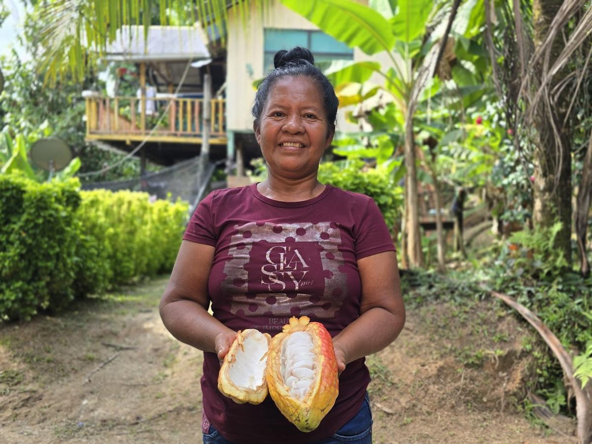 Cadena de frutos amazónicos y productos forestales 