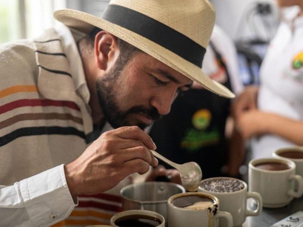 Café colombiano de zonas PDET conquista el mercado europeo