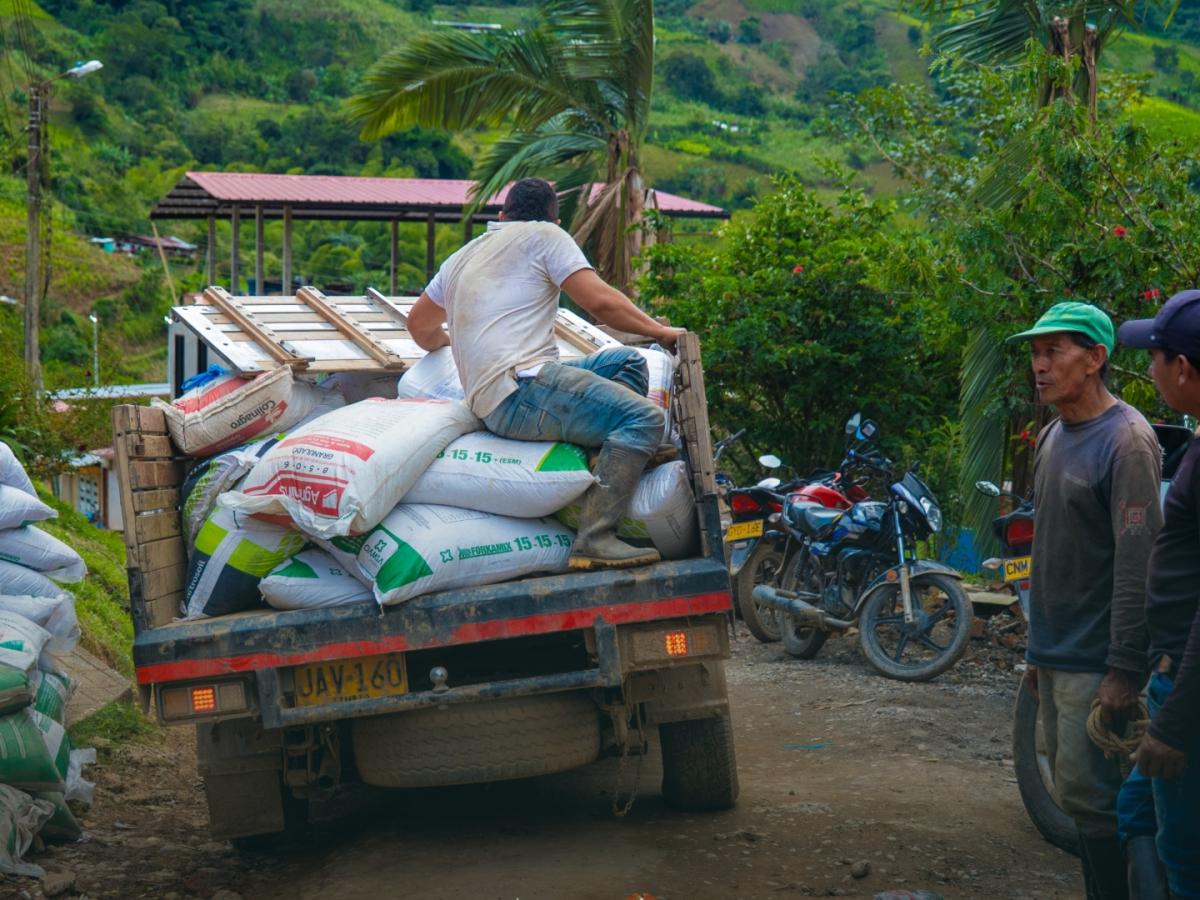 Familias cocaleras en Catatumbo, Cauca y Nariño ya hacen parte del Programa RenHacemos