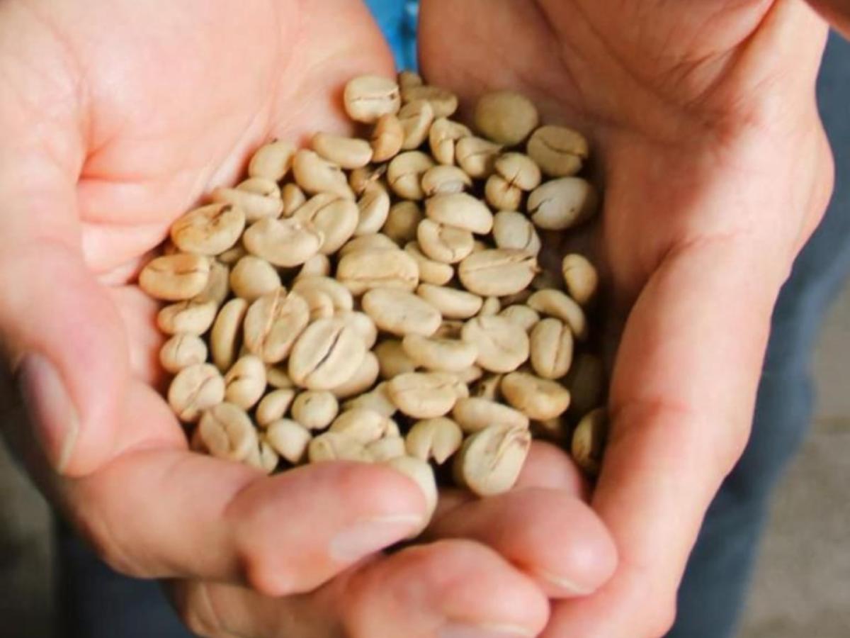 Huila: 800 familias cafeteras beneficiadas con mejoras en las vías rurales 