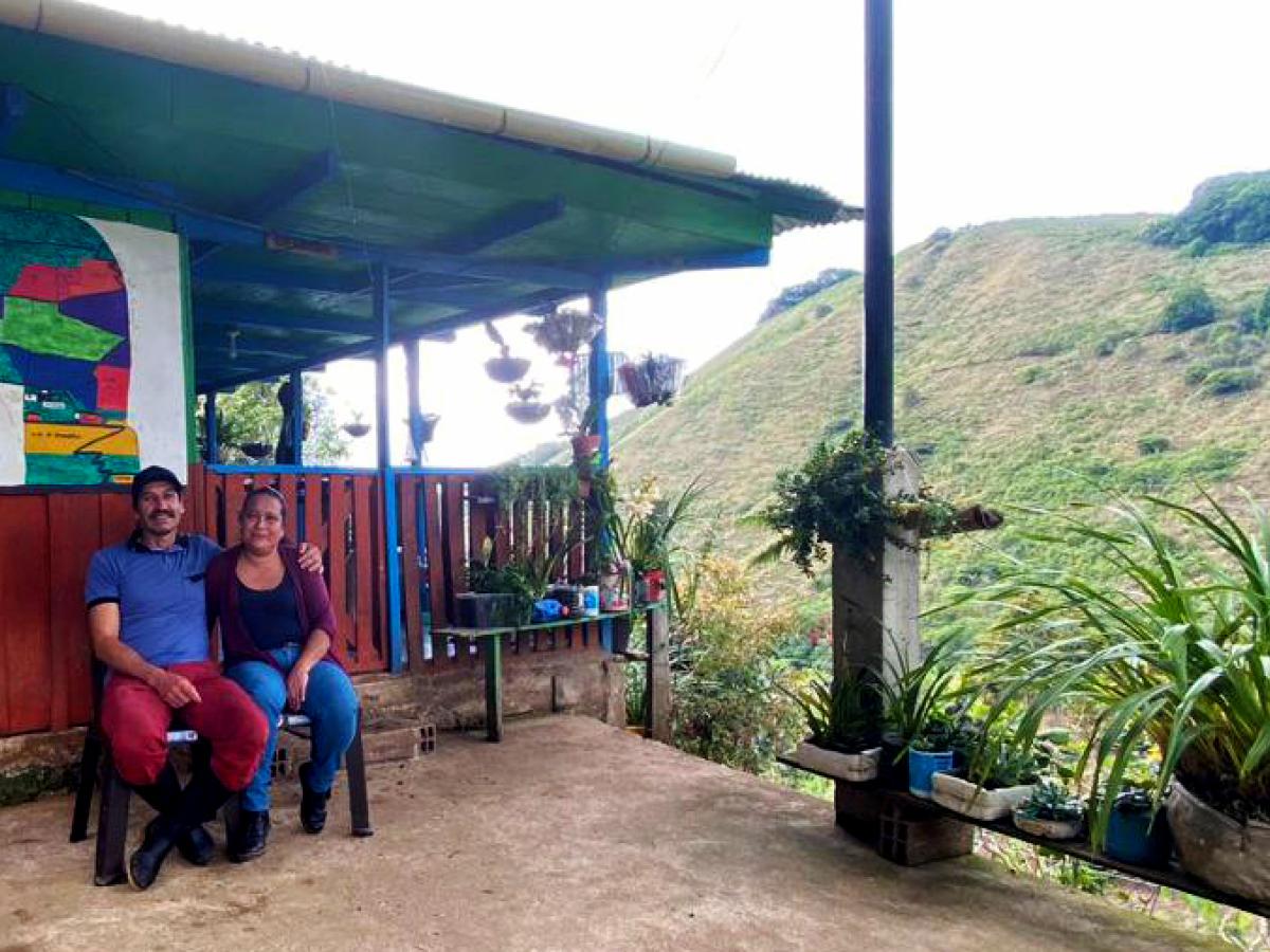 Cómo se siembra uno de los mejores granos de café de Colombia: Tello, Huila