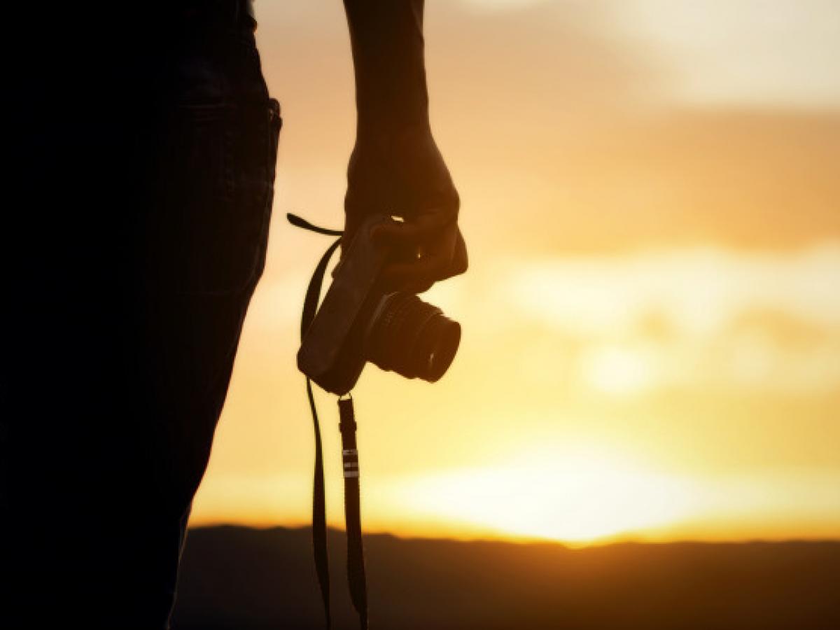 Festiver 2021: se buscan largometrajes y cortometrajes ambientales