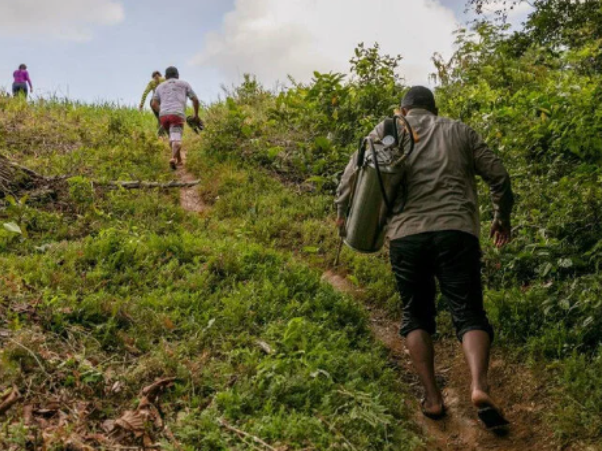 Desplazados en Colombia: mil indígenas están afectadas en Chocó