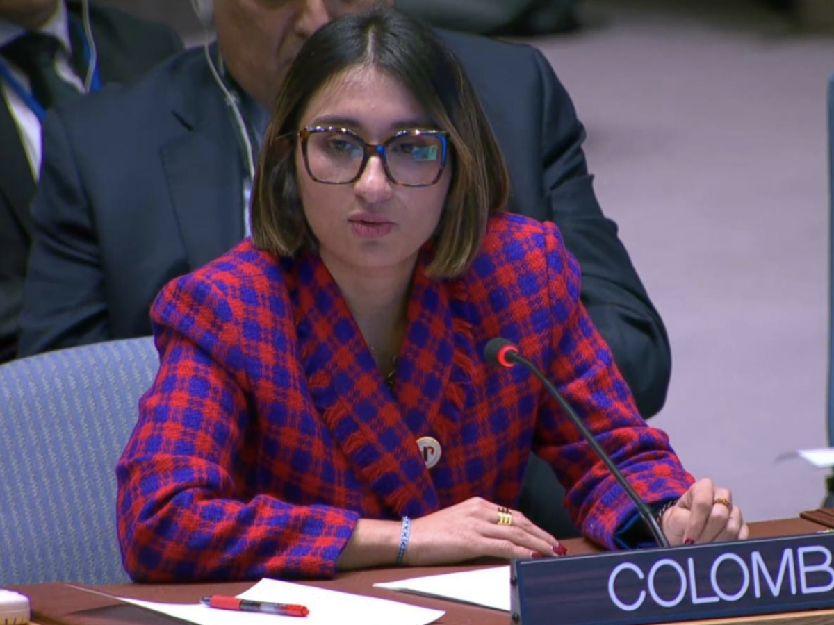 Consejo de Seguridad de la ONU: Laura Sarabia
