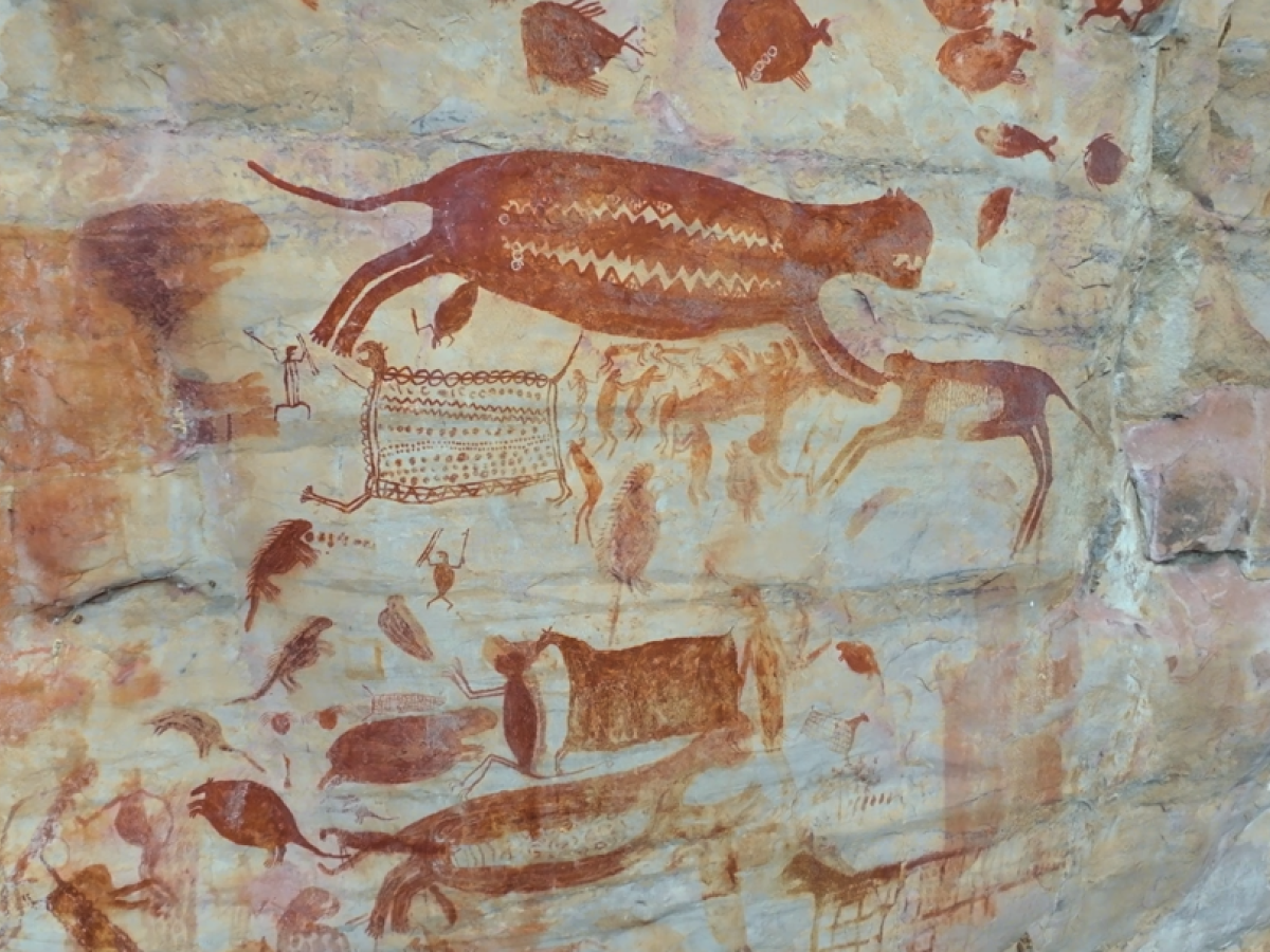 Avant-première à Paris : “Chiribiquete: un voyage dans la mémoire ancestrale de l’Amérique”, un documentaire inédit au cœur de l’art rupestre colombien