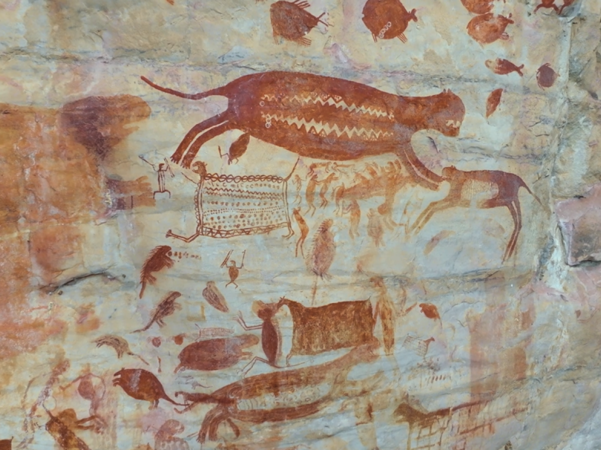 Chiribiquete: estreno exclusivo en París