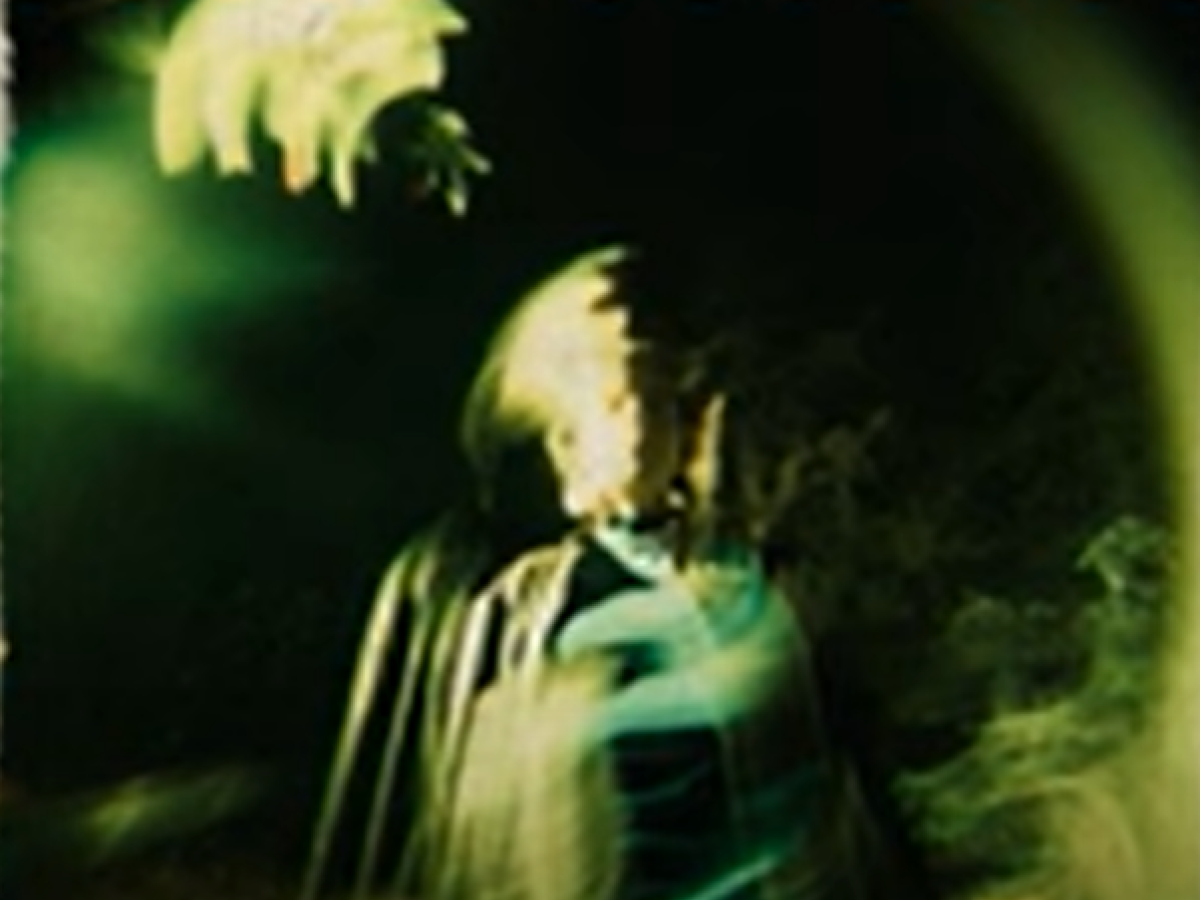  Estrenos de la Semana en Radio Nacional de Colombia: flor de limón, Benkos y Sin tierra 