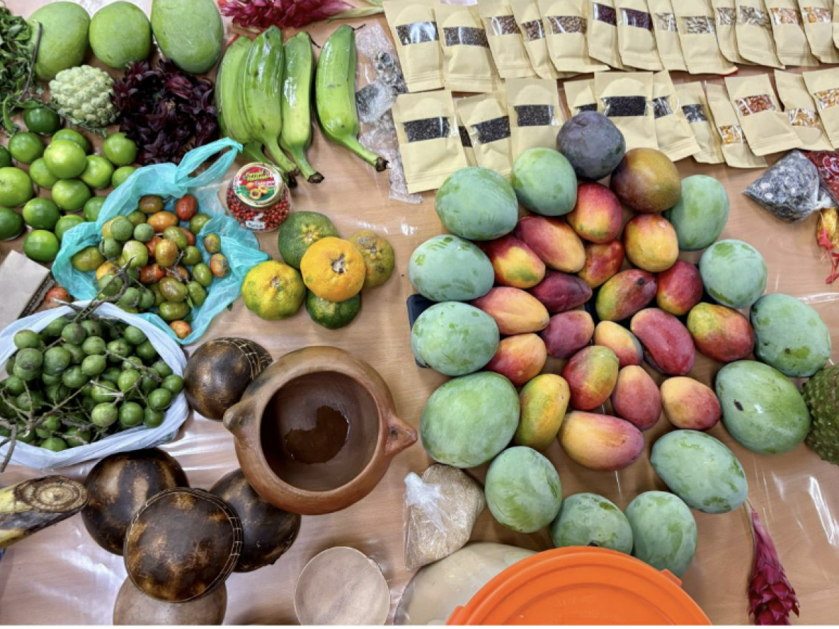 Día Mundial de la Alimentación 2025: los territorios en conflicto también padecen hambre