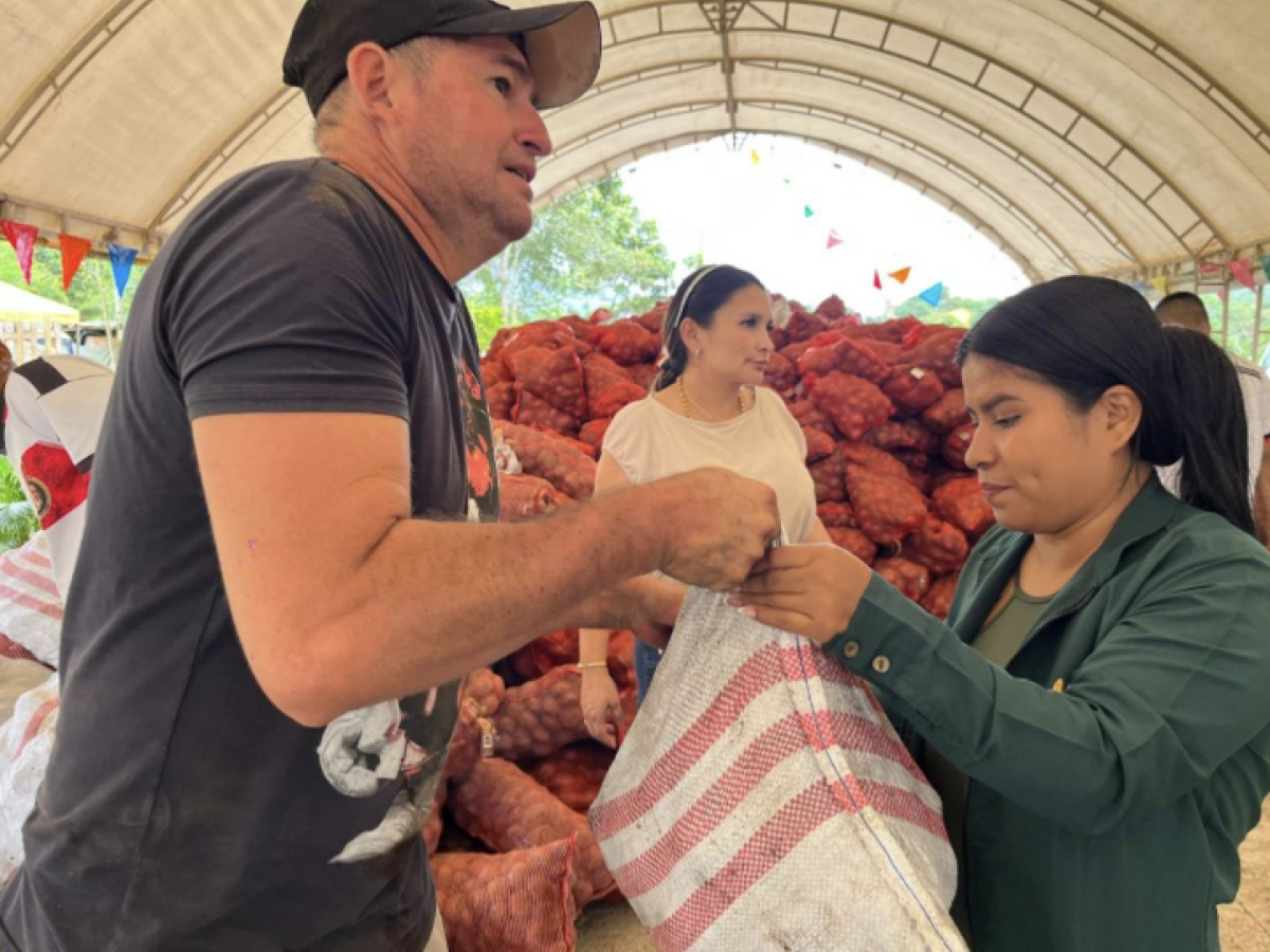 Soberanía alimentaria: programa Papa para el pueblo en Putumayo